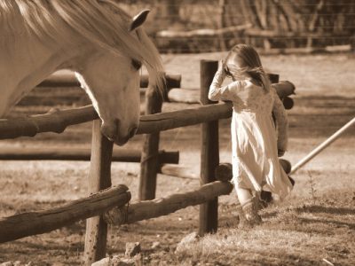 beautiful white horse with little girl