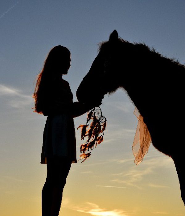 intenser contact met je paard