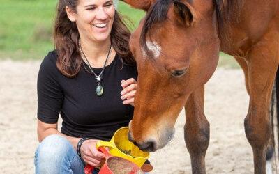 Paardenproblemen voeding
